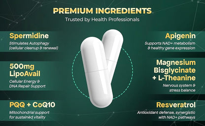 UPLIFE NAD+ Supplement – 120 Capsules