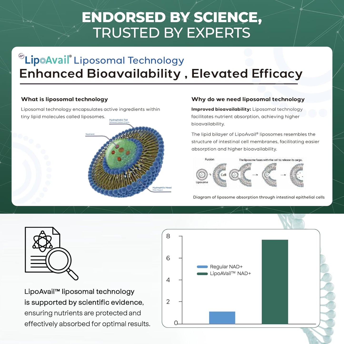 UPLIFE NAD+ Supplement – 120 Capsules