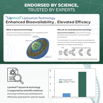 UPLIFE NAD+ Supplement – 120 Capsules