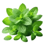 Ingredient Image